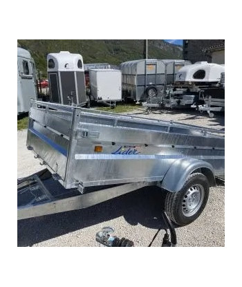 Anhänger 34392 Robuster...